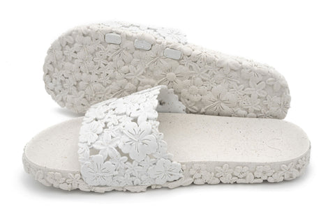 Hawaii White Slides