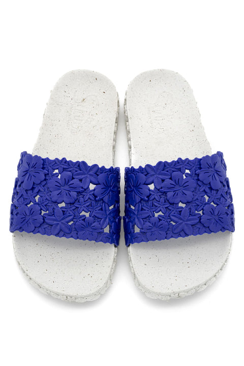 Beautiful Hawaii Blue Slides