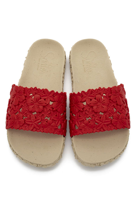 Hawaii Red Slides