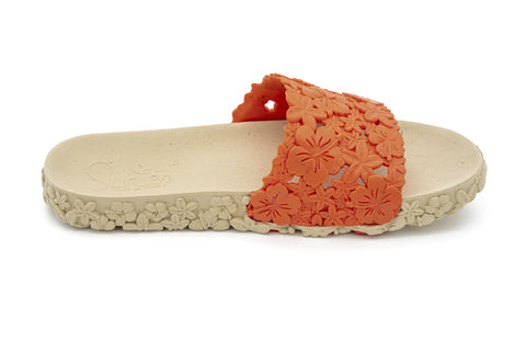 Comfortable Hawaii Pumpkin Slide